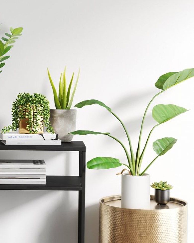 Planta Artificial