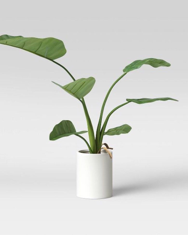 Planta Artificial