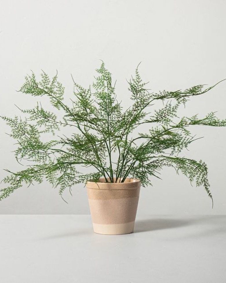 Planta Artificial